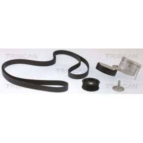 Acquista Kit Cinghie Poly-V da TRISCAN 8642 10045 a buon mercato per soli 214,79 €
