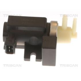 Druckwandler, Abgassteuerung 8813 24057 von TRISCAN günstig für 72,36 € online kaufen