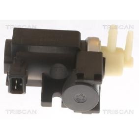 Druckwandler, Abgassteuerung 8813 24089 von TRISCAN günstig für 79,32 € online kaufen