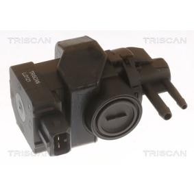 Acquista Convertitore pressione, Controllo gas scarico da TRISCAN 8813 25044 a buon mercato per soli 78,11 €