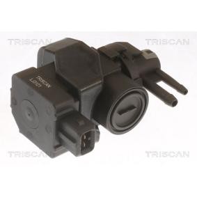 Acquista Convertitore pressione, Controllo gas scarico da TRISCAN 8813 25047 a buon mercato per soli 78,11 €