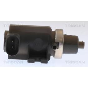 Compre Conversor de pressão, turbocompressor da TRISCAN 8813 29082 a um preço baixo por 66,99 €