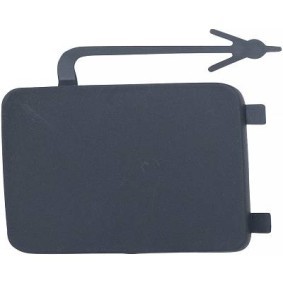 Klappe, Abschlepphaken 4235031 von DIEDERICHS günstig für 19,47 € online kaufen