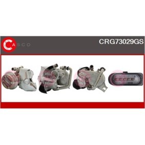 Acquista Pompa idraulica, sterzo da CASCO CSP66101AS a buon mercato per soli 227,25 €