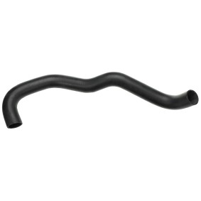 Kühlerschlauch R16656 von RAPRO günstig für 21,24 € online kaufen