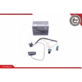 Türgriff 16SKV275 von ESEN SKV günstig für 35,53 € online kaufen