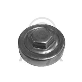 Kühlerdeckel für RENAULT von Aslyx