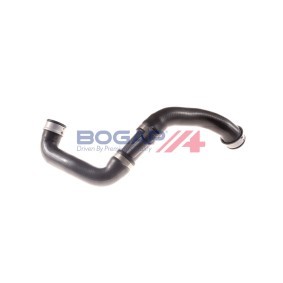 Compre Tubo flexível do radiador da BOGAP C4228132 a um preço baixo por 24,55 €