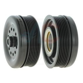 Magnetkupplung, Klimakompressor AC-06DN120 von ACAUTO günstig für 82,96 € online kaufen