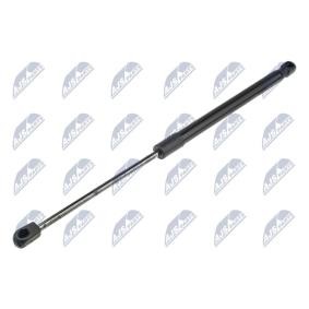 Acquista Ammortizzatore pneumatico cofano motore da NTY AE-RE-058 a buon mercato per soli 15,53 €