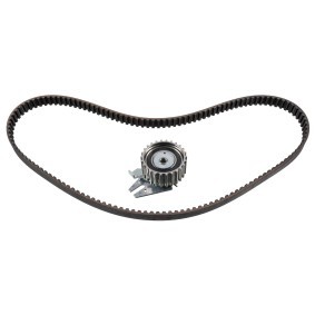 Köp Kamremssats av FEBI BILSTEIN 11087 till det låga priset 824,91 kr