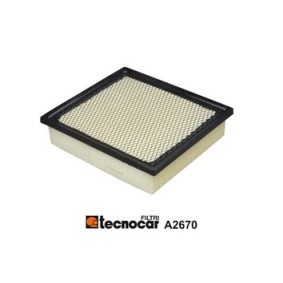 Acquista Filtro aria da TECNOCAR A2670 a buon mercato per soli 65,00 €