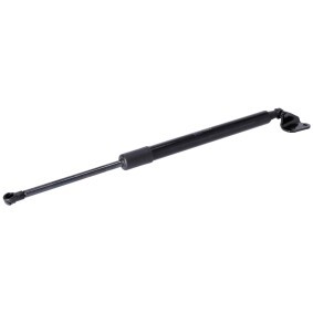 Köp Gasfjäder till baklucka av FEBI BILSTEIN 179824 till det låga priset 354,20 kr