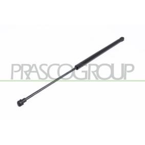 AUDI Heckklappendämpfer von PRASCO