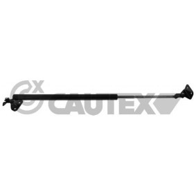 Heckklappendämpfer des Herstellers CAUTEX - Originalware Artikelnummer: 773267