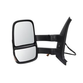 Kennzeichenbeleuchtung 5402-25-0043105P von BLIC günstig für 20,49 € online kaufen