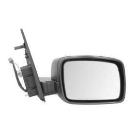 Acquista Componente per faro principale da BLIC online per Mustang Mach-E a prezzi moderati