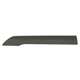 Zier- / Schutzleiste, Seitenwand FT90970 von FAST günstig für 33,32 € online kaufen