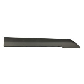 Zier- / Schutzleiste, Seitenwand FT90971 von FAST günstig für 22,01 € online kaufen