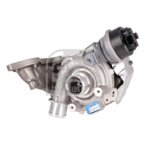 Umlenk- / Führungsrolle, Keilrippenriemen 33005 von FEBI BILSTEIN günstig für 93,78 € online kaufen