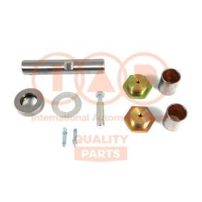 Achsschenkelbolzen des Herstellers IAP QUALITY PARTS - Originalware Artikelnummer: 415-13060K