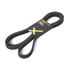 Keilrippenriemen 305P0461P von RIDEX PLUS günstig für 62,90 € online kaufen