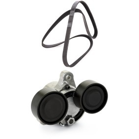 Achetez des Kit de courroie d'accessoire de chez RIDEX PLUS en ligne pour X5 (F15, F85) à prix modérés
