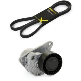 Keilrippenriemensatz 542R0009P von RIDEX PLUS günstig für 66,09 € online kaufen
