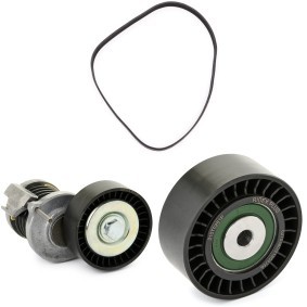 Keilrippenriemensatz von RIDEX PLUS