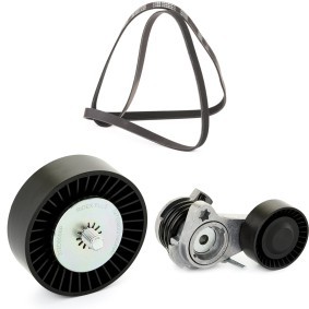 Achetez des Kit de courroie d'accessoire de chez RIDEX PLUS en ligne pour X5 (E70) à prix modérés