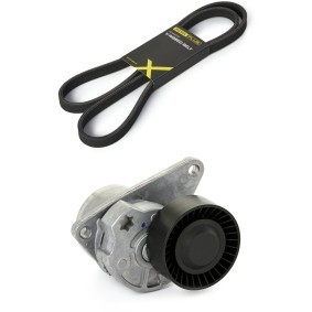 Keilrippenriemensatz 542R0142P von RIDEX PLUS günstig für 69,58 € online kaufen