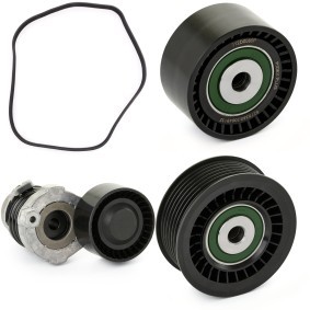 Comprar Juego de correas trapeciales poli V de RIDEX PLUS 542R0516P a bajo precio de 122,81 €