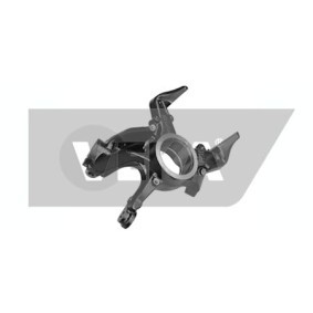 Achetez des Fusée d'essieu, suspension de roue DYS 79-03900R à prix pour 367,60 €