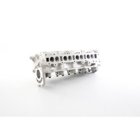 Zylinderkopf für CHEVROLET von BSG