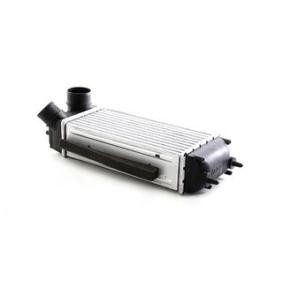 Kjøp Intercooler av BSG BSG 30-535-013 til den lave prisen 3060,27 NOK