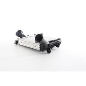 Kjøp Intercooler av BSG BSG 90-535-020 til den lave prisen 3620,86 NOK
