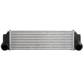 Köp Intercooler av THERMOTEC DAB029TT till det låga priset 1337,46 kr
