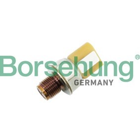 Köp Bränsletrycksgivare av Borsehung B11871 till det låga priset 449,96 kr