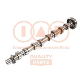 Nockenwelle 124-13117 von IAP QUALITY PARTS günstig für 309,18 € online kaufen