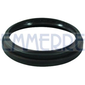 Wellendichtring, Radnabe des Herstellers EMMERRE - Originalware Artikelnummer: 101567