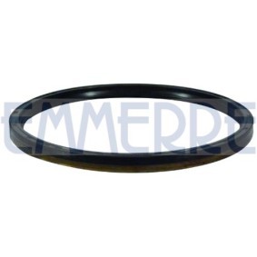Wellendichtring, Differential des Herstellers EMMERRE - Originalware Artikelnummer: 101507