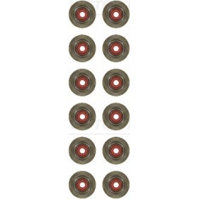 Dichtungssatz, Ventilschaft 12-21058-01 von REINZ günstig für 9,29 € online kaufen