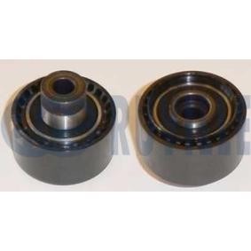 Umlenk- / Führungsrolle, Keilrippenriemen 541200 von RUVILLE günstig für 77,61 € online kaufen