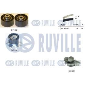 Wasserpumpe + Zahnriemensatz für DS von RUVILLE