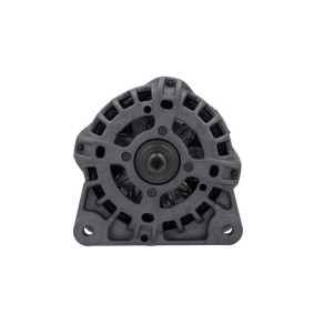 Lichtmaschine von BV PSH