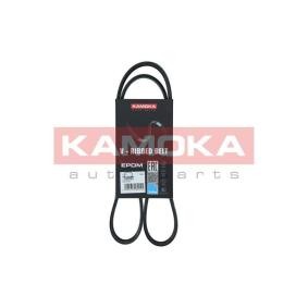 Compre Correia do alternador de KAMOKA online para PILOT a preços moderados