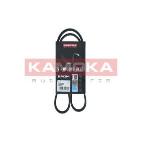 Acquista Cinghia servizi da KAMOKA online per GLB (X247) a prezzi moderati