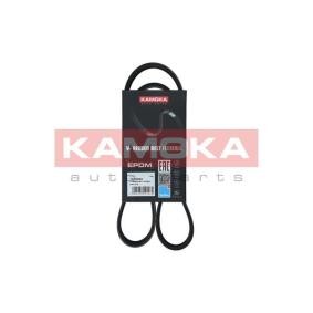 Achetez des Courroie d'alternateur de chez KAMOKA en ligne pour KA+ Berline (TK, FK) à prix modérés