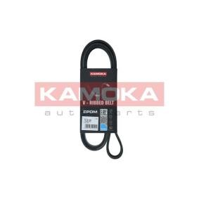 Achetez des Courroie Poly-V KAMOKA 7016132 à prix pour 15,33 €