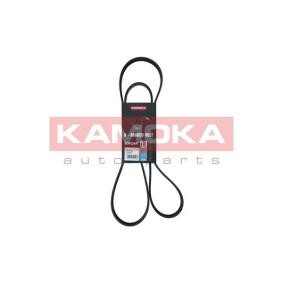 Achetez des Courroie Poly-V KAMOKA 7016134 à prix pour 15,19 €